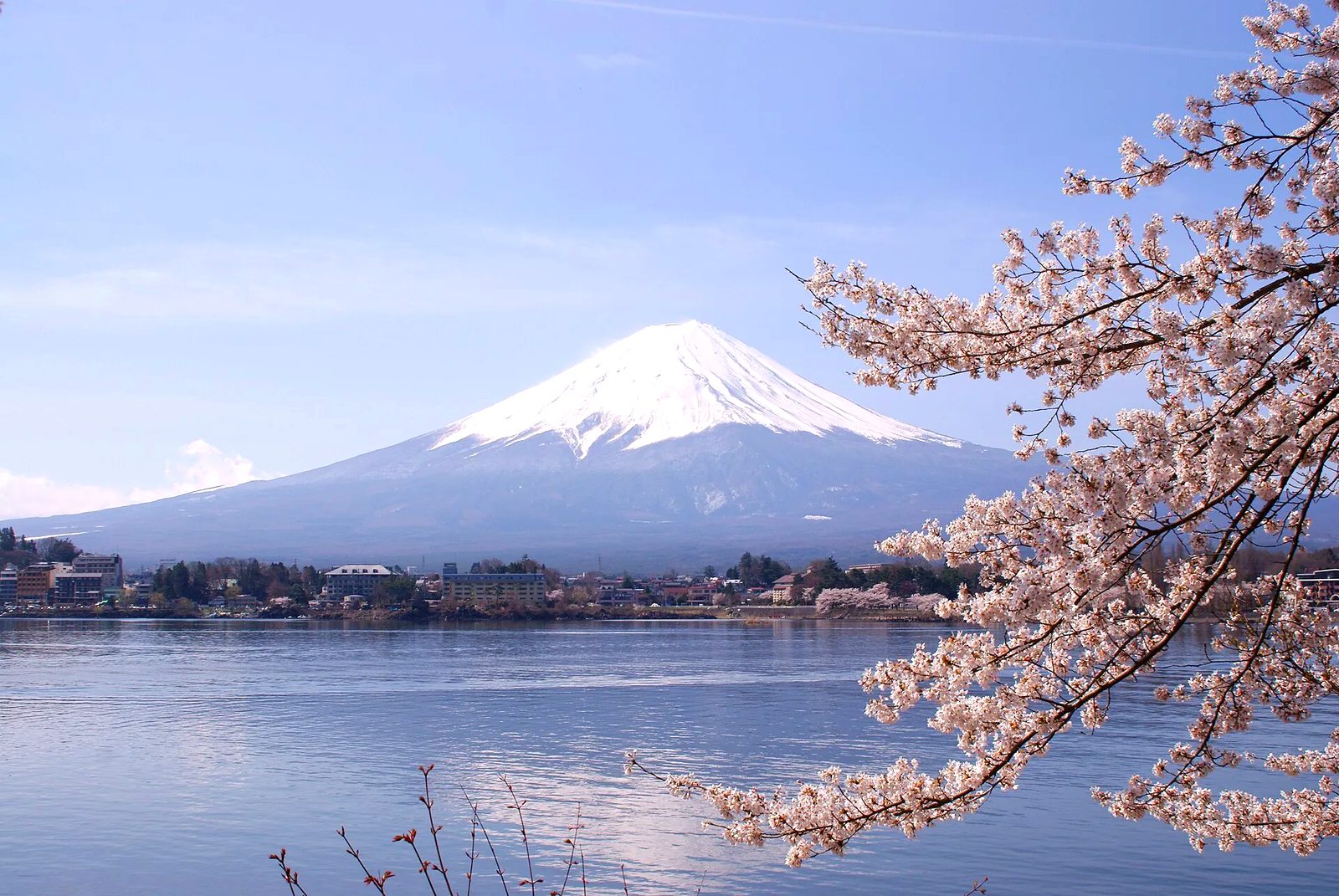 Monte Fuji con cerezos en flor