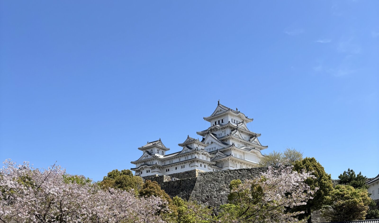 Castillo de Himeji entre cerezos en flor