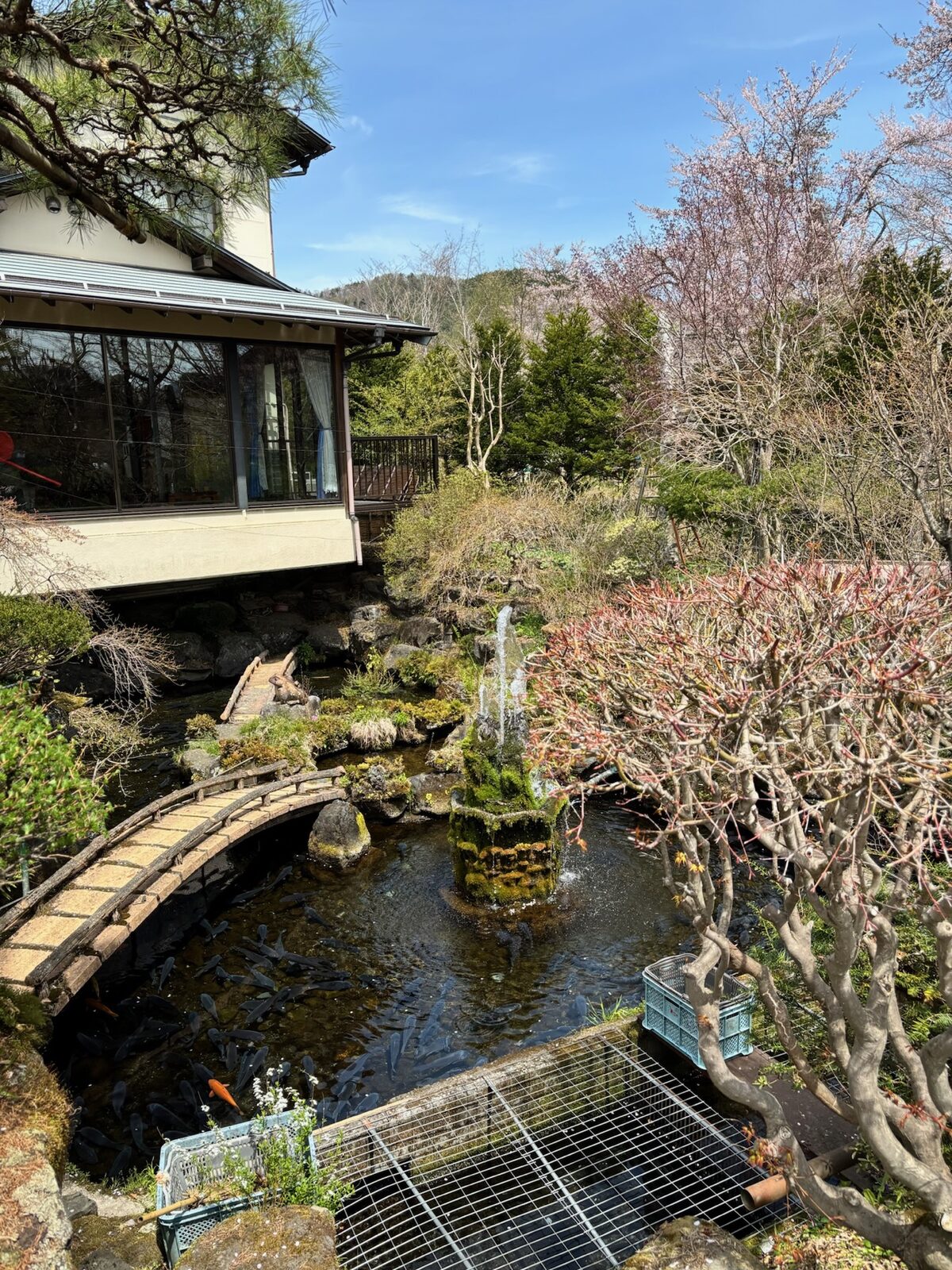 Jardín tradicional de Kioto