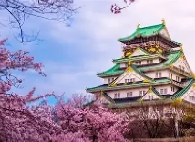 Castillo de Osaka, Japón