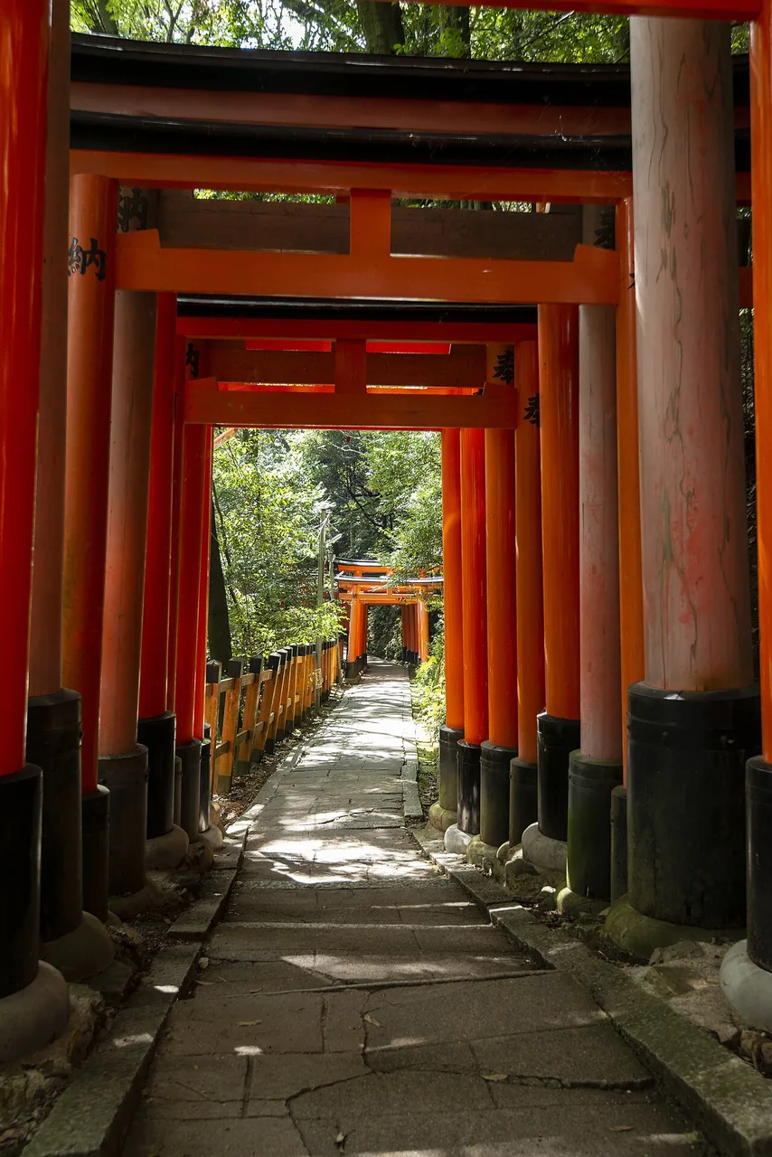 Sendero de torii rojos del santuario Fushimi Inari en Kioto, Japón